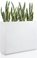 Privacy Planter Box, Divider Trellis